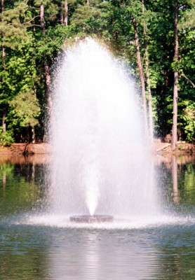 Kasco 8400JF 2 HP Floating Aerating Fountain - Birch Fountain Pattern