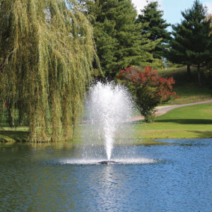 Kasco 3400JF 3/4 HP Floating Fountain - Sequoia Fountain Pattern - 13' tall x 8' wide Geyser