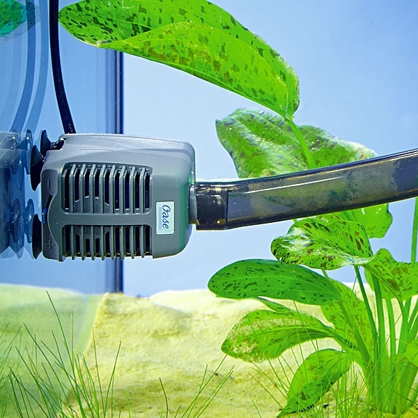 Oase OptiMax 85i Aquarium Pump - In Use