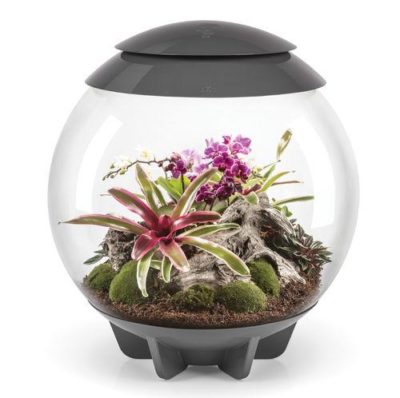 biOrb Air 60 LED Terrarium - Grey